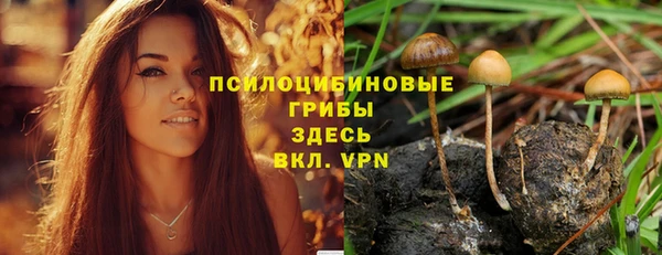 спиды Алзамай