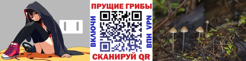 Псилоцибиновые грибы Psilocybe  Спасск 